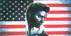 USA American 'Elvis' Flag 5ft x 3ft (100% Polyester) With Eyelets 