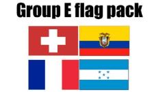 GROUP E Football World Cup 2014 Flag Pack (5ft x 3ft)