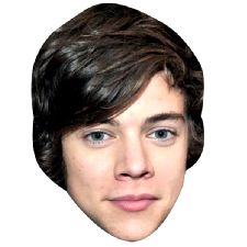 Harry Styles Face Mask from One Direction 