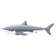 Giant Jointed Shark