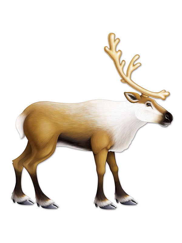Jointed Reindeer 3' 1"