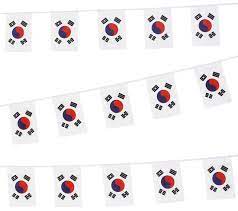 South Korea Bunting 6m 20 Flag