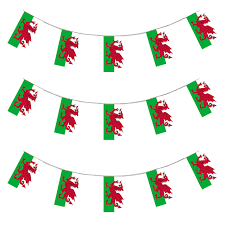 6m 20 flag Welsh Dragon Bunting (Wales)