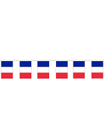 France Flag Bunting Rectangular Flags 6m long 20flags Polyester