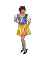 Fairytale Lady Costume Includes Dress And Headband, Size 10-14 (12345)