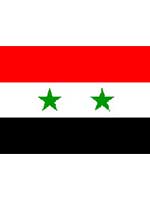 Syria/Syrian Flag 5ft x 3ft With Eyelets For Hanging