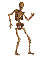 Jointed Skeleton 6'