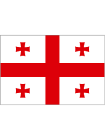 Georgia medium hand flag (20 Flags)