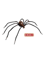 Bendable Bloody Spiders 60Cm