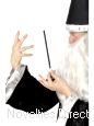 Magic Wand 26.5cm in length