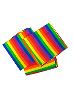 Rainbow Bandana
