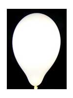  Balloons Standard 12" White