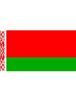 Belarus Flag 5ft x 3ft  With Eyelets For Hanging