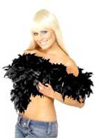 Black Feather Boa