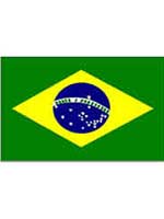 Brazilian Flag 5ft x 3ft  With Eyelets For Hanging