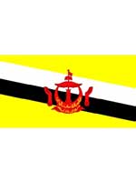 Brunei Flag 5ft x 3ft  With Eyelets For Hanging