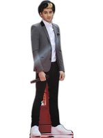 Zayn Malik Life-size Cardboard Cutout