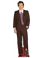 Harry Styles Cardboard Cutout with Free Mini Standee