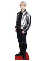 Bangtan Boy Silver Jacket Park_Ji_Min (Star Mini)