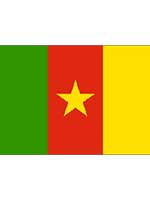 Cameroon Flag 5ft x 3ft With Eyelets For Hanging
