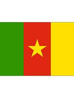 Cameroon Flag 5ft x 3ft With Eyelets For Hanging