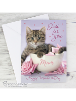 Personalised Rachael Hale 'Just for You' Kitten Card