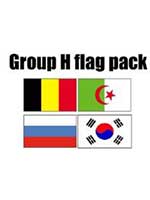 GROUP H Football World Cup 2014 Flag Pack (5ft x 3ft)