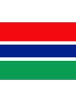 Gambian Flag 5ft x 3ft  With Eyelets For Hanging