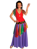Gipsy Queen Costume 