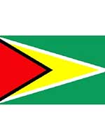 Guyana Flag 5ft x 3ft  With Eyelets For Hanging