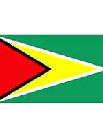 Guyana Flag 5ft x 3ft  With Eyelets For Hanging