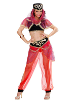 Harem Dancer Costume 
