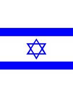 Israel Flag 8ft x 5ft  With Eyelets For Hanging 