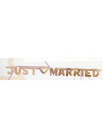 Just Married Banner Silver