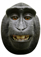 MONKEY SELFIE MASK