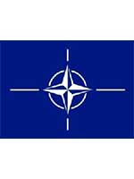 Nato Flag 5ft x 3ft With Eyelets For Hanging