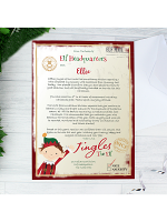 Personalised Elf Surveillance Christmas Letter