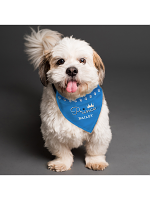 Personalised Prince Dog Bandana