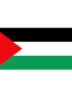 Palestine Flag 5ft x 3ft With Eyelets