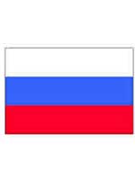 Russia Flag Hand Held 20 X 14cm.Plastic 30cm Stick