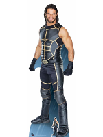 Seth Rollins World Wrestling Entertainment WWE