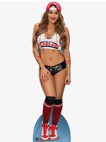 Nikki Bella AKA Stephanie Nicole Garcia-Colace World Wrestling Entertainment WWE
