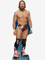 WWE Daniel Bryan World Wrestling Entertainment