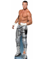 WWE Dolph Ziggler World Wrestling Entertainment Lifesize Cardboard Cutout