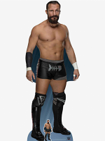 WWE Bobby Fish World Wrestling Entertainment WWE