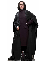 Professor Snape Harry Potter Character 