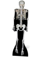 Skeleton Lifesize Cutout