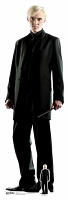 Draco Malfoy (Harry Potter) - Cardboard Cutout SC644