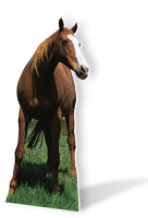 Mustang - Horse Cardboard Cutouts