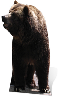 Bear - Cardboard Cutout